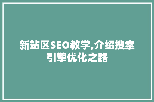 新站区SEO教学,介绍搜索引擎优化之路