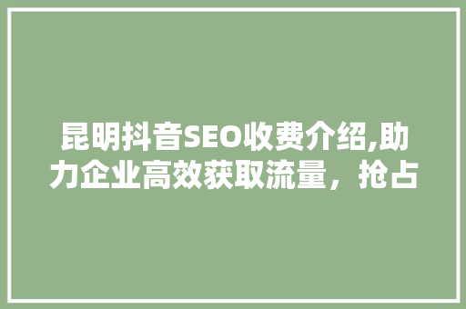 昆明抖音SEO收费介绍,助力企业高效获取流量，抢占市场先机