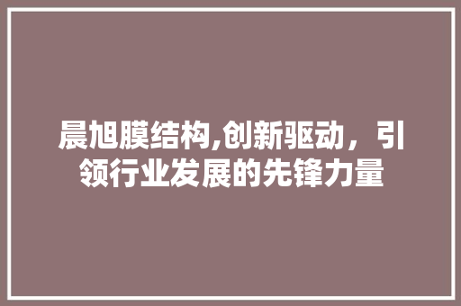 晨旭膜结构,创新驱动，引领行业发展的先锋力量