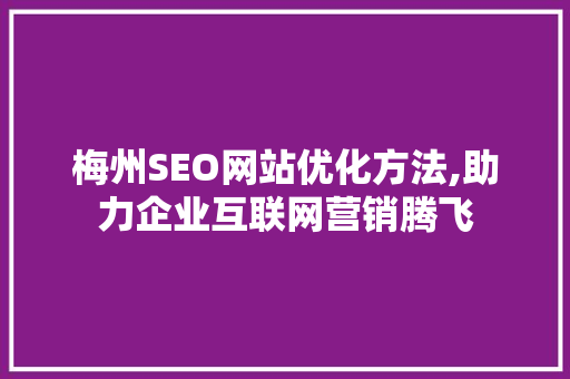 梅州SEO网站优化方法,助力企业互联网营销腾飞
