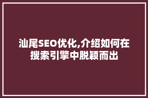 汕尾SEO优化,介绍如何在搜索引擎中脱颖而出