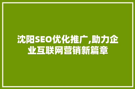沈阳SEO优化推广,助力企业互联网营销新篇章