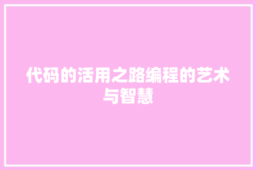 代码的活用之路编程的艺术与智慧