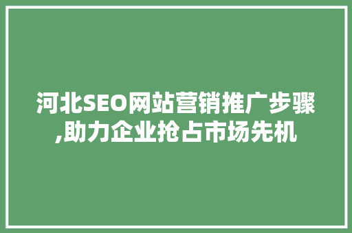 河北SEO网站营销推广步骤,助力企业抢占市场先机  第1张