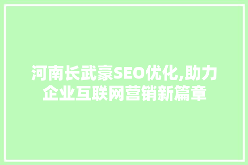 河南长武豪SEO优化,助力企业互联网营销新篇章