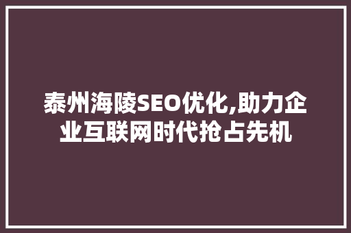泰州海陵SEO优化,助力企业互联网时代抢占先机
