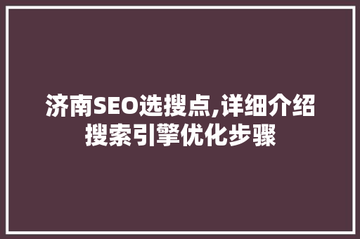 济南SEO选搜点,详细介绍搜索引擎优化步骤