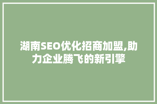 湖南SEO优化招商加盟,助力企业腾飞的新引擎