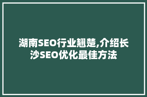 湖南SEO行业翘楚,介绍长沙SEO优化最佳方法