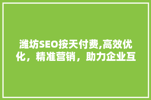 潍坊SEO按天付费,高效优化，精准营销，助力企业互联网发展