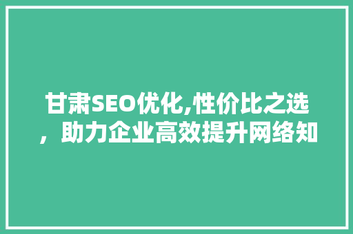 甘肃SEO优化,性价比之选，助力企业高效提升网络知名度