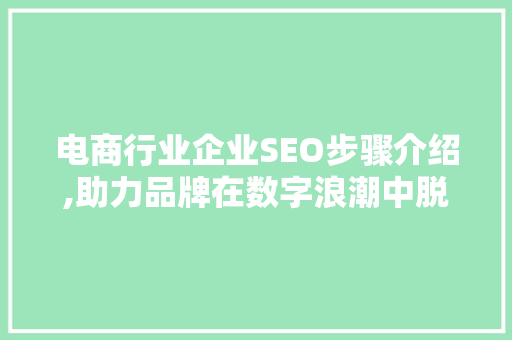 电商行业企业SEO步骤介绍,助力品牌在数字浪潮中脱颖而出