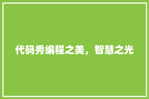 代码秀编程之美，智慧之光