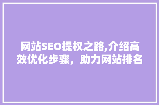 网站SEO提权之路,介绍高效优化步骤，助力网站排名飙升