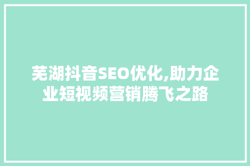 芜湖抖音SEO优化,助力企业短视频营销腾飞之路