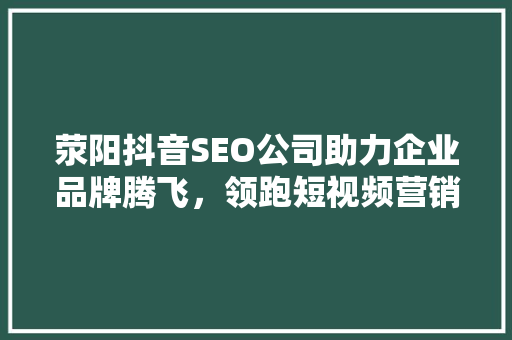 荥阳抖音SEO公司助力企业品牌腾飞，领跑短视频营销新潮流