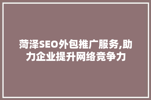 菏泽SEO外包推广服务,助力企业提升网络竞争力