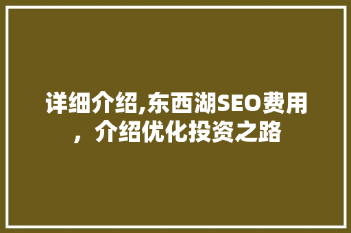 详细介绍,东西湖SEO费用，介绍优化投资之路  第1张