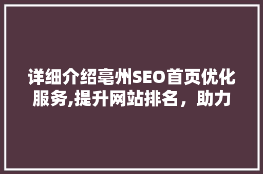 详细介绍亳州SEO首页优化服务,提升网站排名，助力企业腾飞