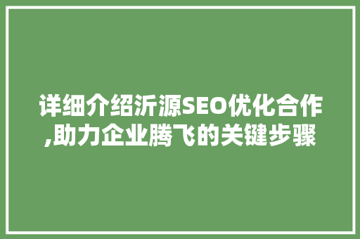 详细介绍沂源SEO优化合作,助力企业腾飞的关键步骤