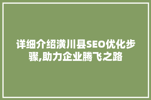 详细介绍潢川县SEO优化步骤,助力企业腾飞之路