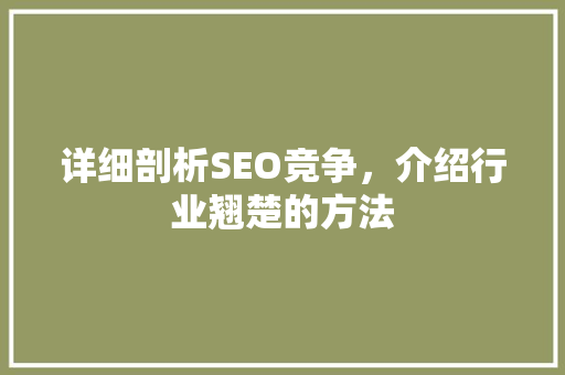 详细剖析SEO竞争，介绍行业翘楚的方法