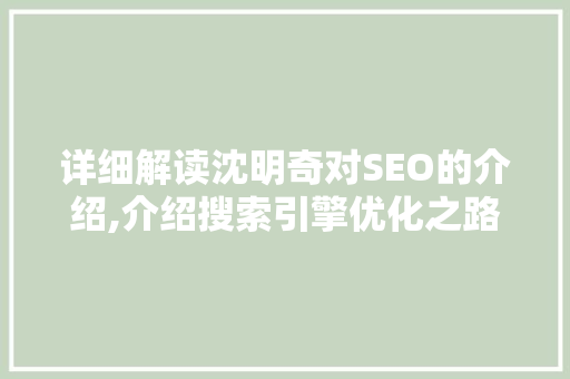 详细解读沈明奇对SEO的介绍,介绍搜索引擎优化之路