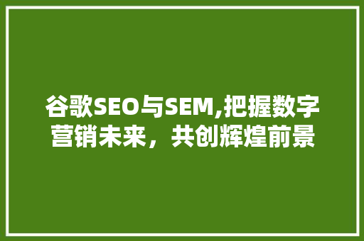 谷歌SEO与SEM,把握数字营销未来，共创辉煌前景