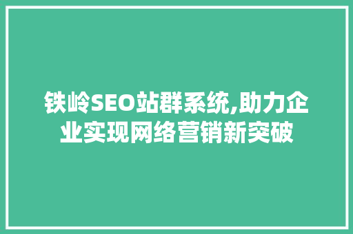 铁岭SEO站群系统,助力企业实现网络营销新突破