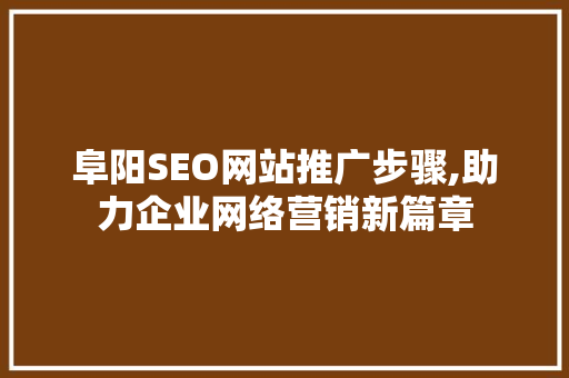阜阳SEO网站推广步骤,助力企业网络营销新篇章