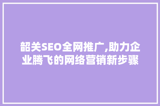 韶关SEO全网推广,助力企业腾飞的网络营销新步骤