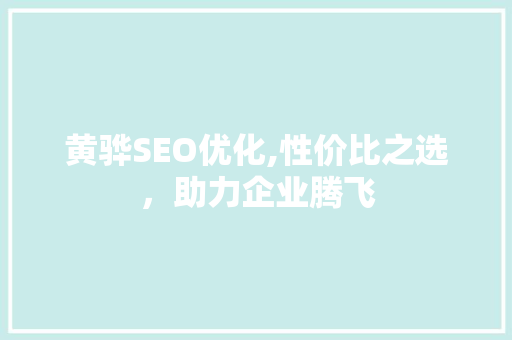 黄骅SEO优化,性价比之选，助力企业腾飞
