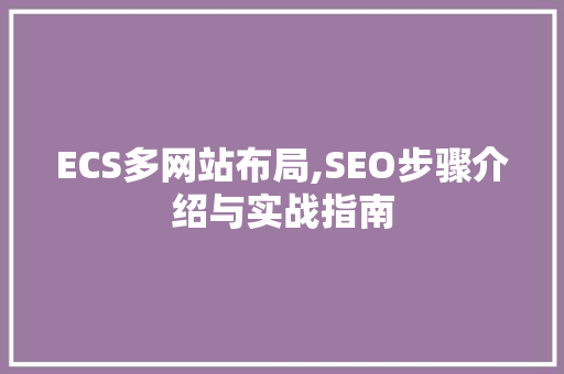ECS多网站布局,SEO步骤介绍与实战指南