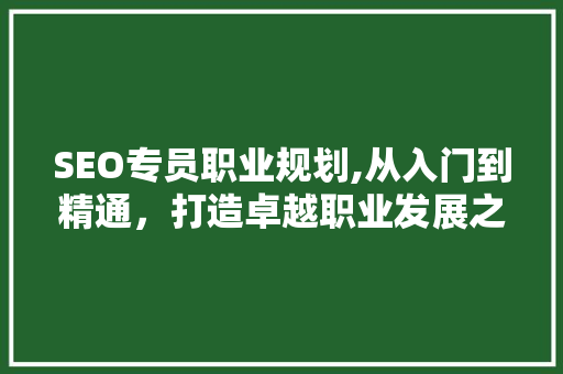 SEO专员职业规划,从入门到精通，打造卓越职业发展之路