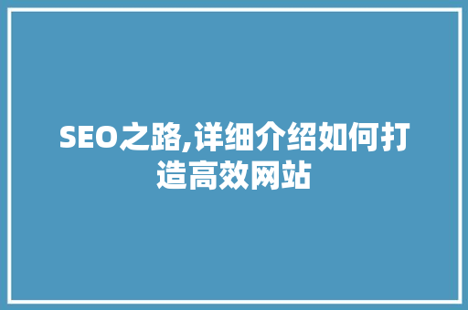 SEO之路,详细介绍如何打造高效网站
