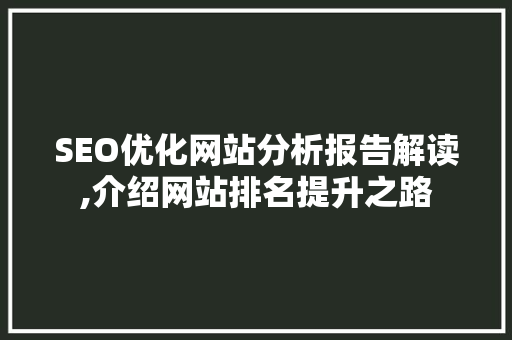 SEO优化网站分析报告解读,介绍网站排名提升之路