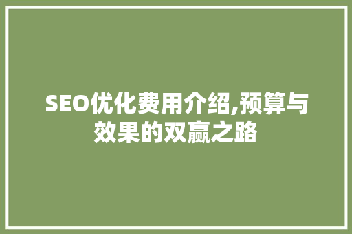 SEO优化费用介绍,预算与效果的双赢之路