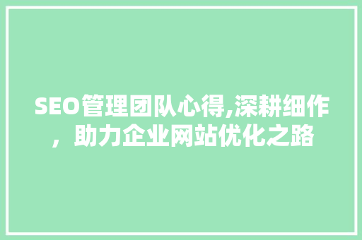 SEO管理团队心得,深耕细作，助力企业网站优化之路