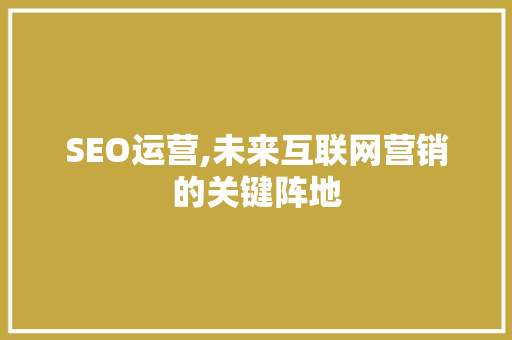 SEO运营,未来互联网营销的关键阵地
