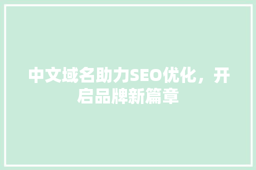 中文域名助力SEO优化，开启品牌新篇章