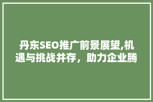丹东SEO推广前景展望,机遇与挑战并存，助力企业腾飞