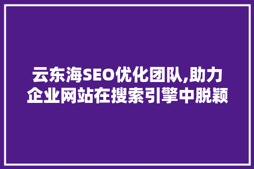 云东海SEO优化团队,助力企业网站在搜索引擎中脱颖而出