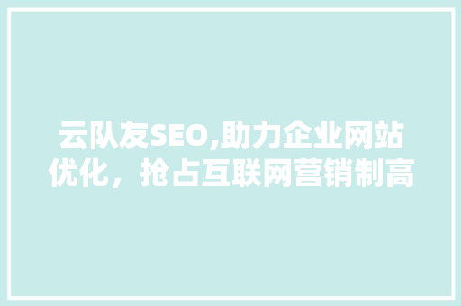 云队友SEO,助力企业网站优化，抢占互联网营销制高点
