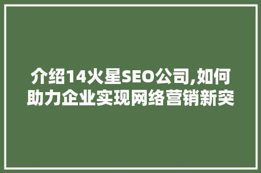 介绍14火星SEO公司,如何助力企业实现网络营销新突破  第1张