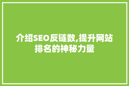介绍SEO反链数,提升网站排名的神秘力量