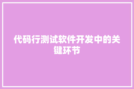 代码行测试软件开发中的关键环节