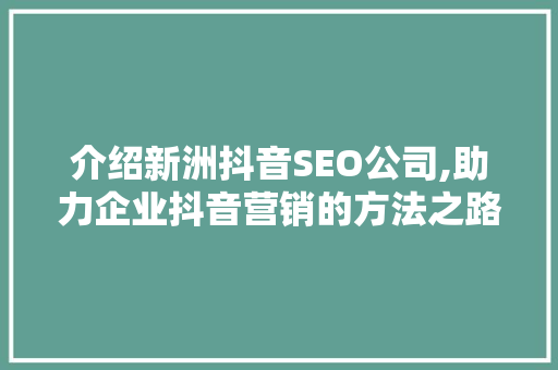 介绍新洲抖音SEO公司,助力企业抖音营销的方法之路