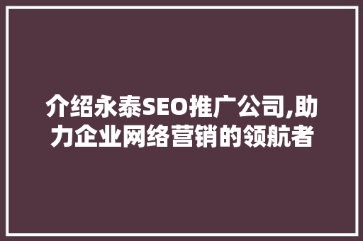 介绍永泰SEO推广公司,助力企业网络营销的领航者