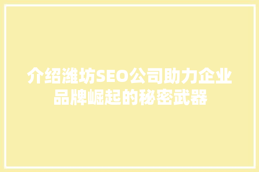 介绍潍坊SEO公司助力企业品牌崛起的秘密武器
