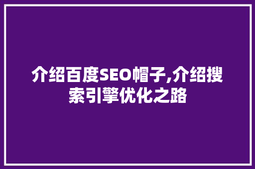 介绍百度SEO帽子,介绍搜索引擎优化之路